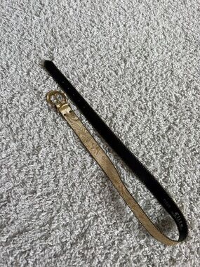 Elite Women’s Belt Gold